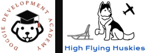 Achievements of DD Academy