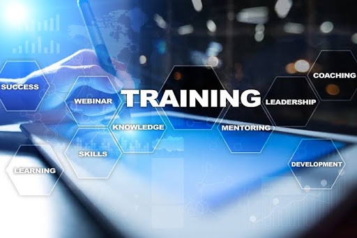 Tutors of In2in Immigration & Consulting Services