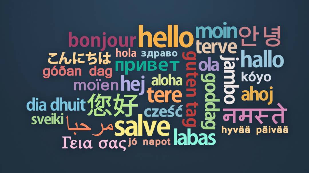 Vocabulary Wall of Language Expert