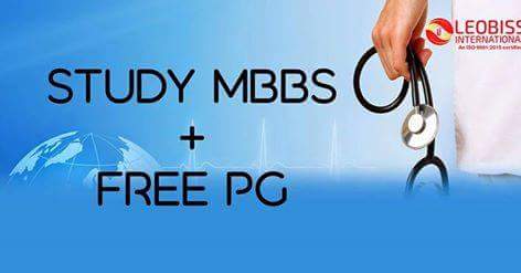 Counselors – Expert Guidance for Abroad Dreams of Leobiss International