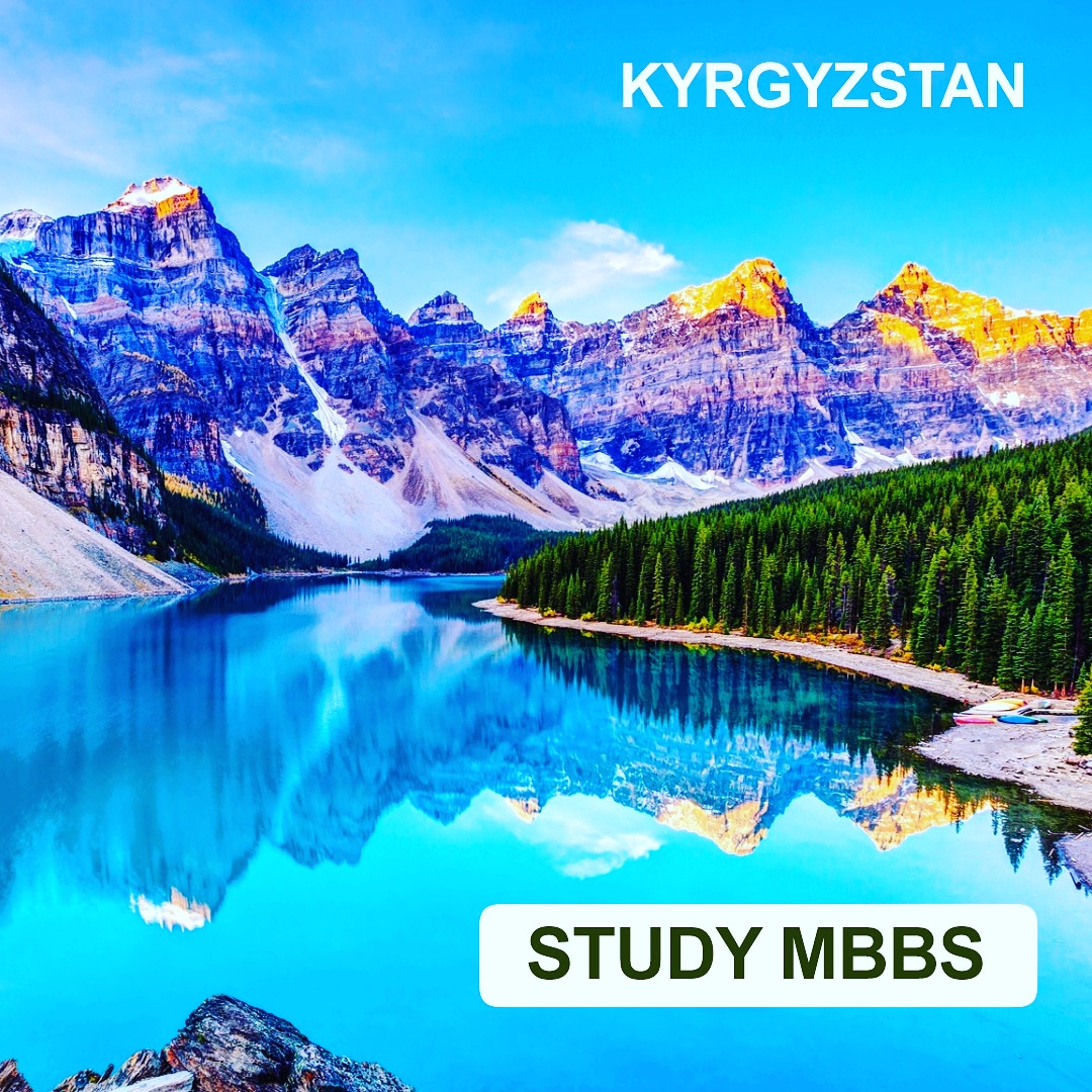 Study Abroad Fairs – Explore Global Opportunities Live of Leobiss International