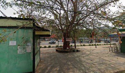 MAA Tarini Saloon image