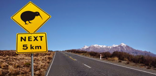 Other of New Zealand Education Services
