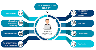 Trade, Commerce & Industry of M/s N N V J & CO