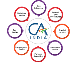 Audits of M/s N N V J & CO