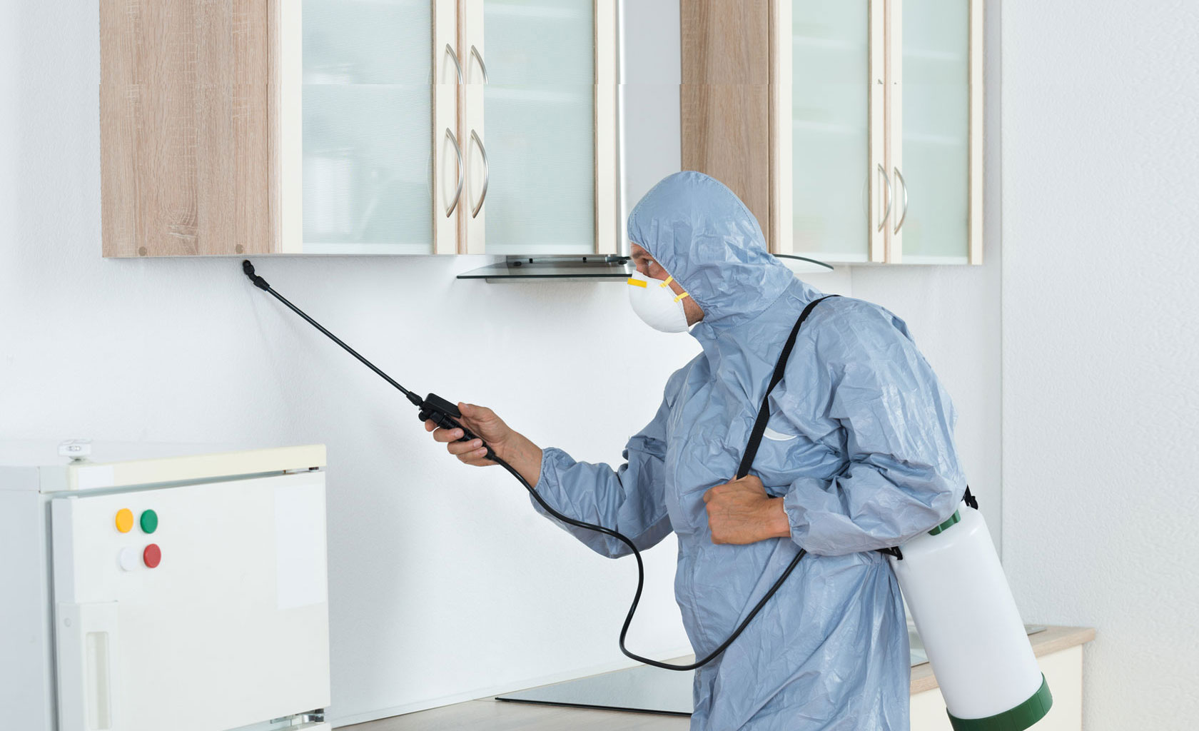 On-site Treatment of Pest Control and Cleaning Services Kerala