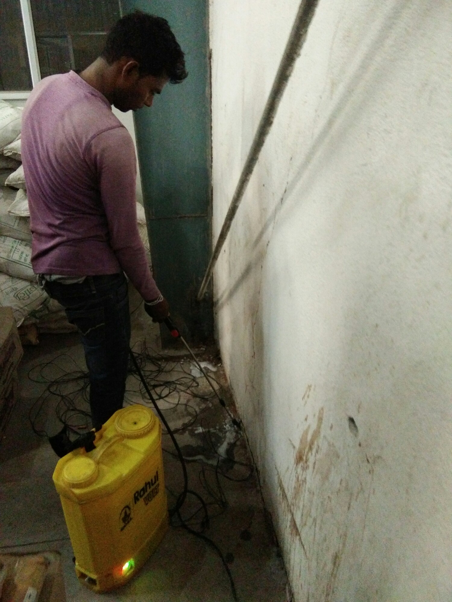 Technicians at Work of Pest Control Management