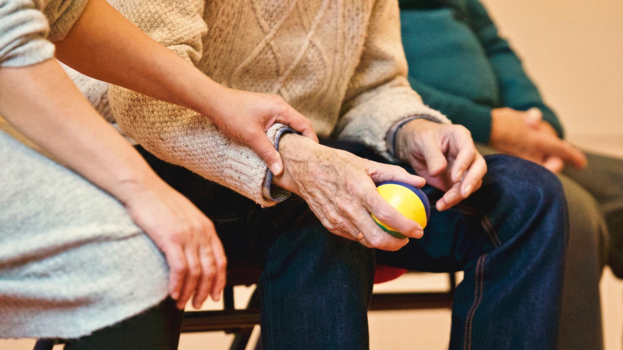 Elderly Support of PMS HR Solutions Pvt. Ltd.