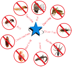 Pest Control Equipment of Pradhan Pest Control India