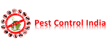 Technicians at Work of Pradhan Pest Control India