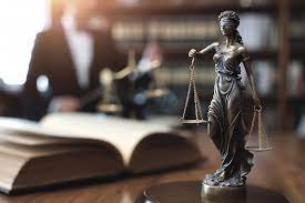 Courtroom Advocacy of Advocate Pranshu Gosain