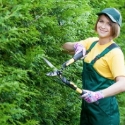 Garden Help of VSP Manpower Consultancy 