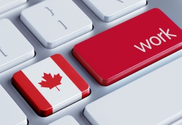 Visa Experts of M/s TIIC OVERSEAS SETTLEMENT SOLUTIONS
