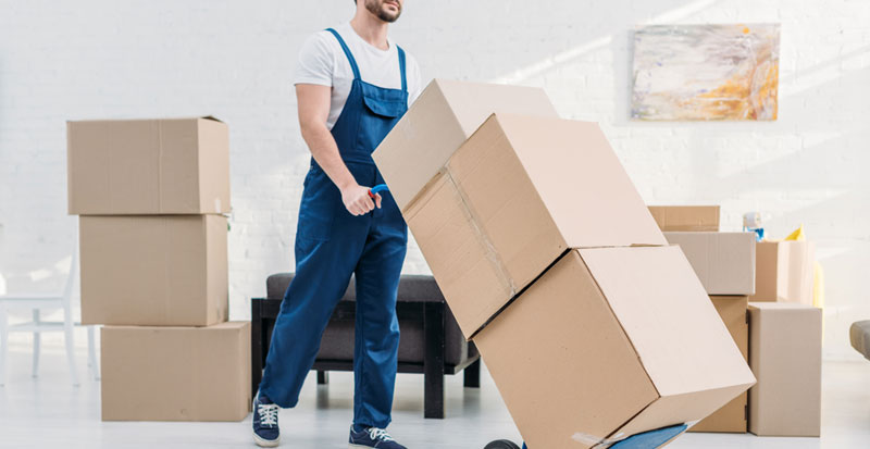 Professional Cleaning Crew at Work of Vijay Home Services - Home Painting & Deep cleaning Expert