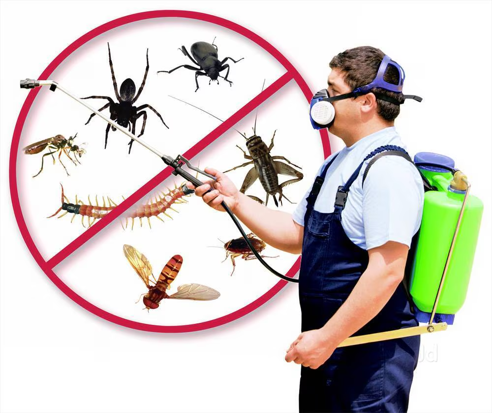Other of Vijay Home Services - Home Painting & Deep cleaning Expert