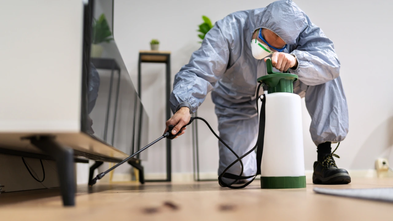 Other of Vijay Home Services - Home Painting & Deep cleaning Expert