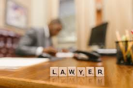 Legal Consultation of Syed Ali