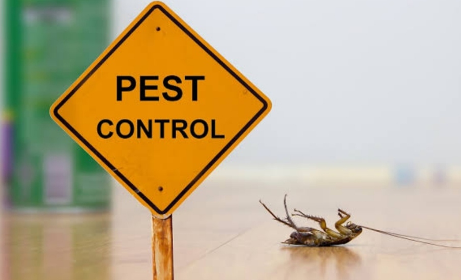 Pest Control Equipment of Pushpa pest control Private Limited