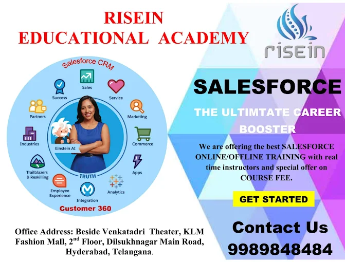 Online Training Sessions of Risein Academy