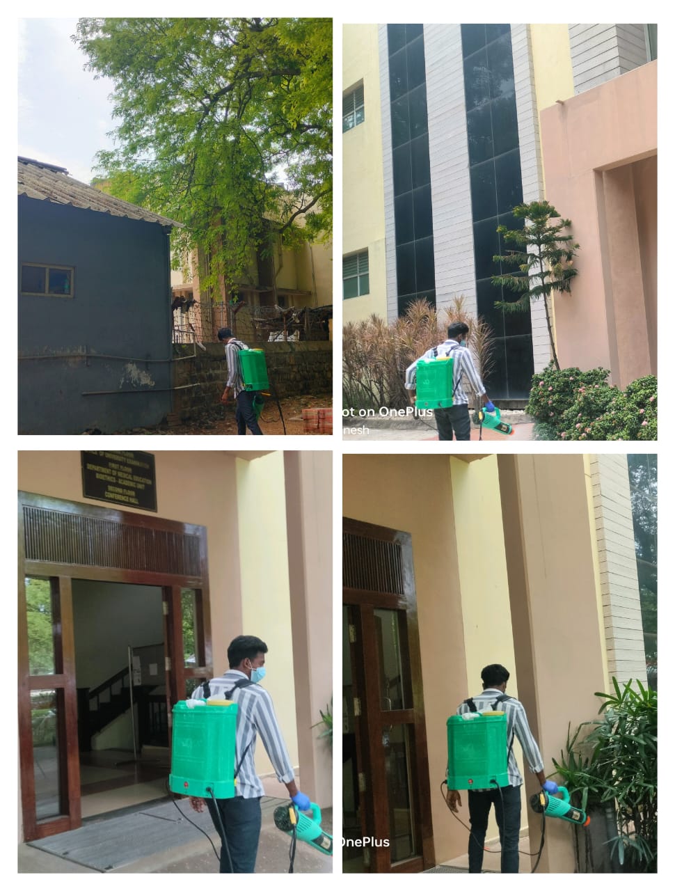 On-site Treatment of RP Pest Control Service