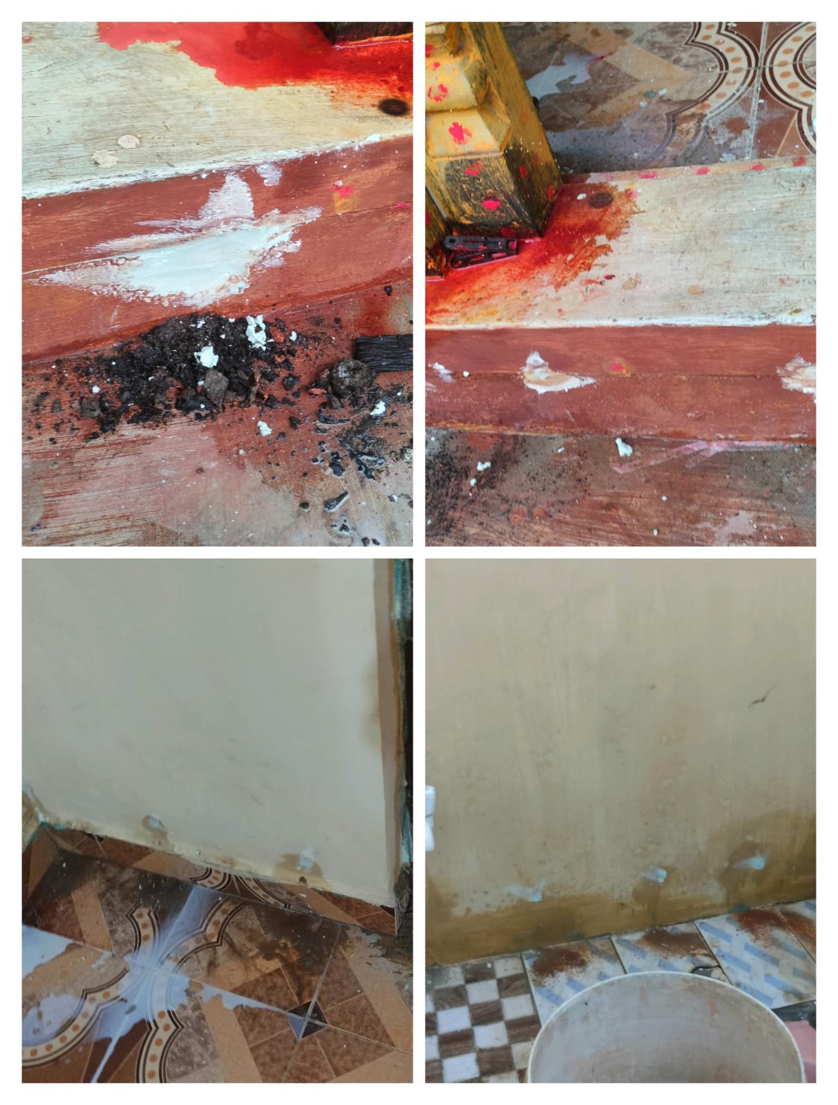 Before & After Comparison of RP Pest Control Service
