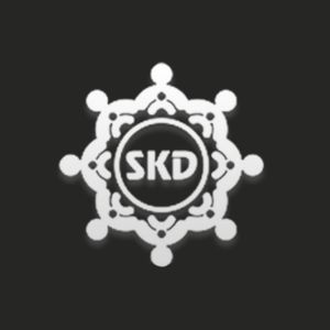 All Photos of S K D Insurance Broking & Services Private Limited
