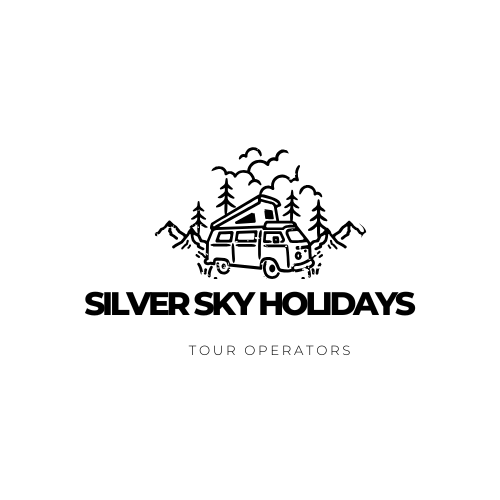 SILVER SKY HOLIDAYS image