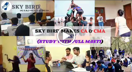 Student Testimonials of Sky Bird