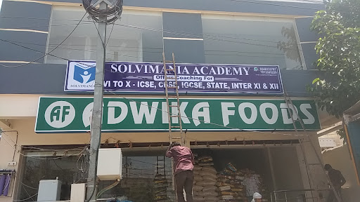 Tutors of Solvimania Academy