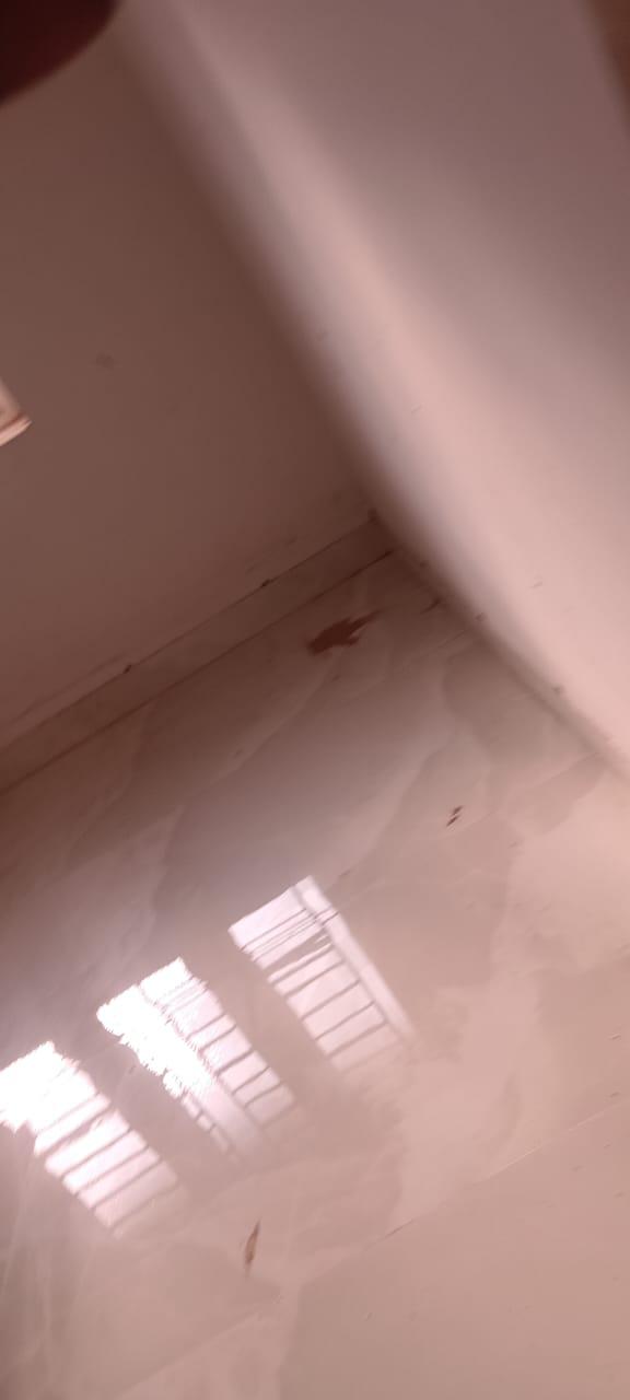 Before & After Comparison of Spandana Pest Control Services