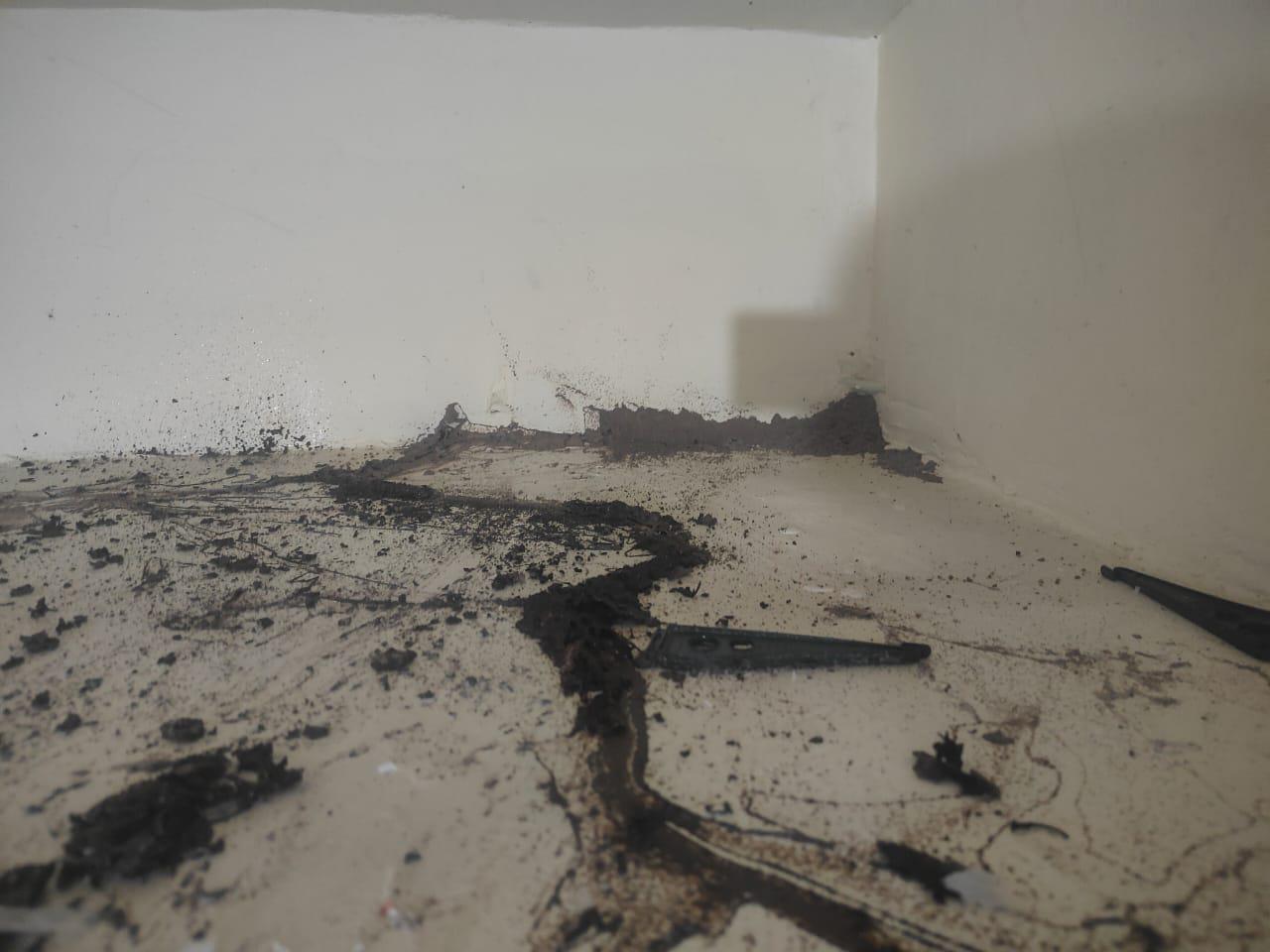 Termite Treatment of Spandana Pest Control Services