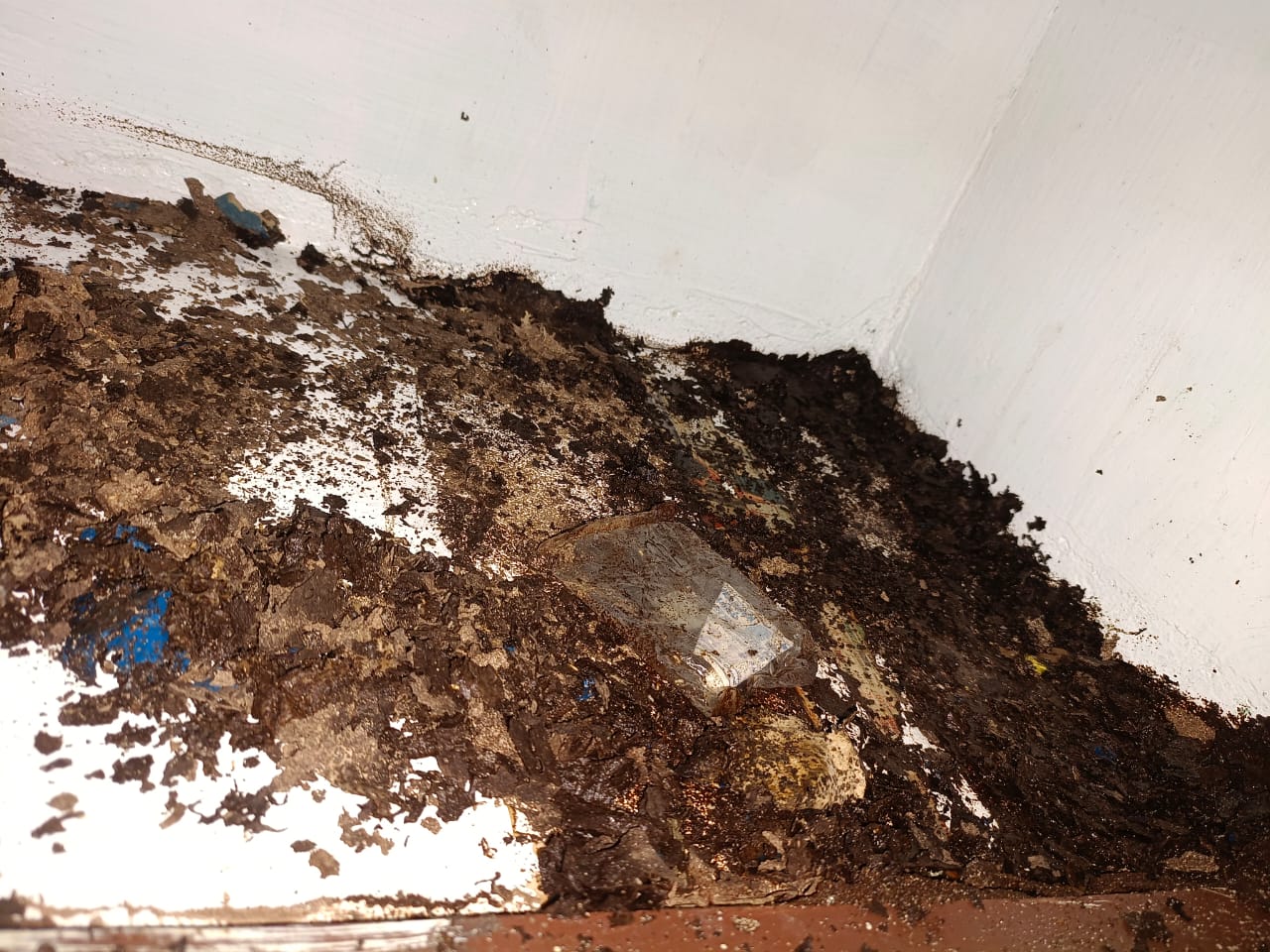 Termite Treatment of Spandana Pest Control Services