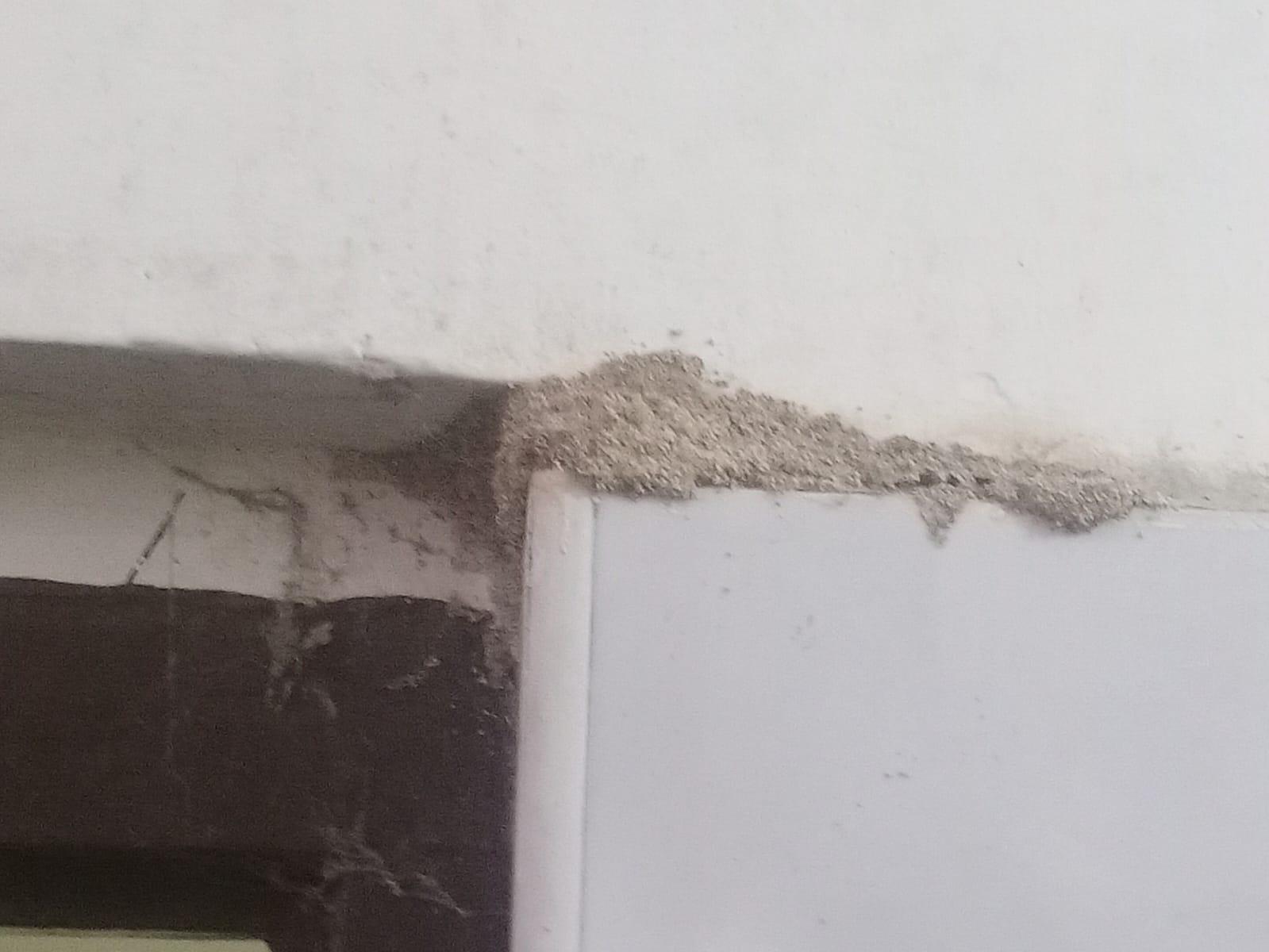 Termite Treatment of Spandana Pest Control Services