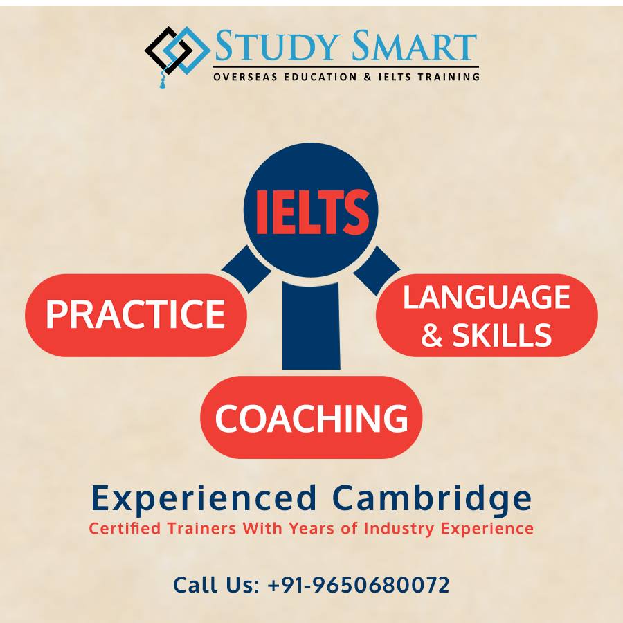 Tutor Teaching Classes of Study Smart