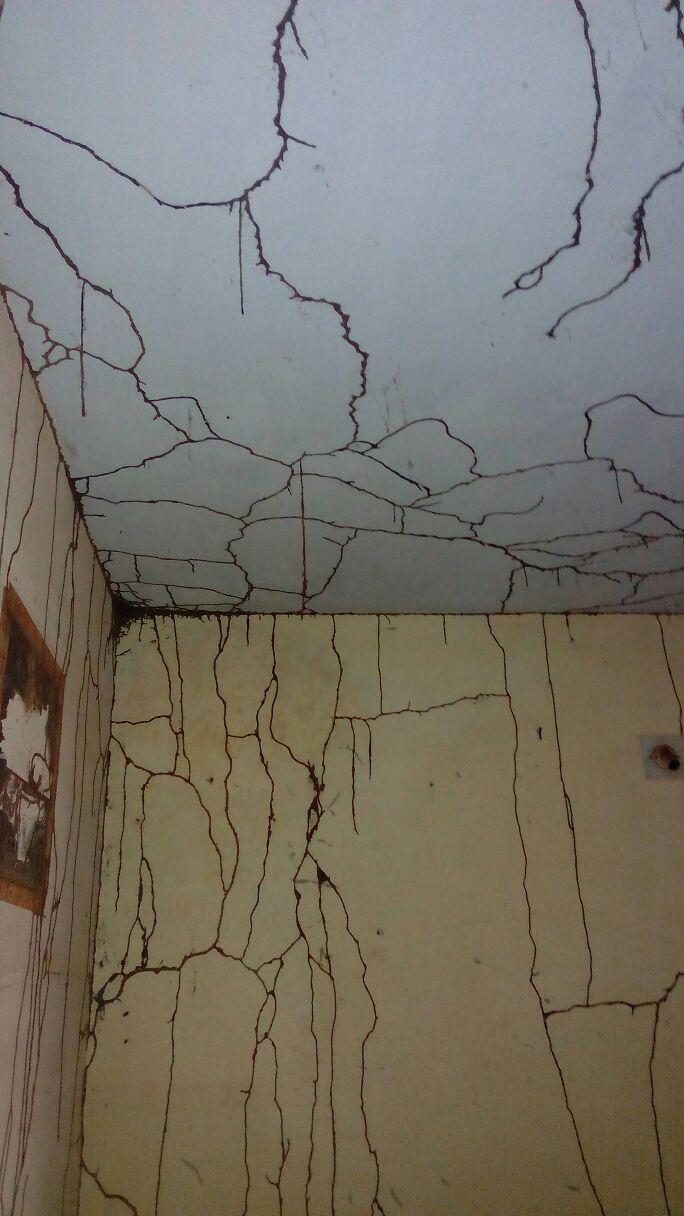 Termite Treatment of Surat Pest Control (Pest Control)