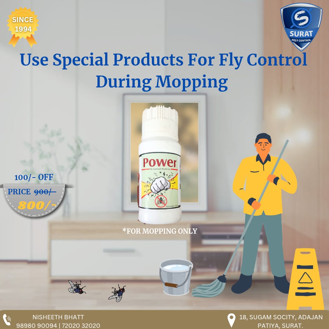 On-site Treatment of Surat Pest Control (Pest Control)