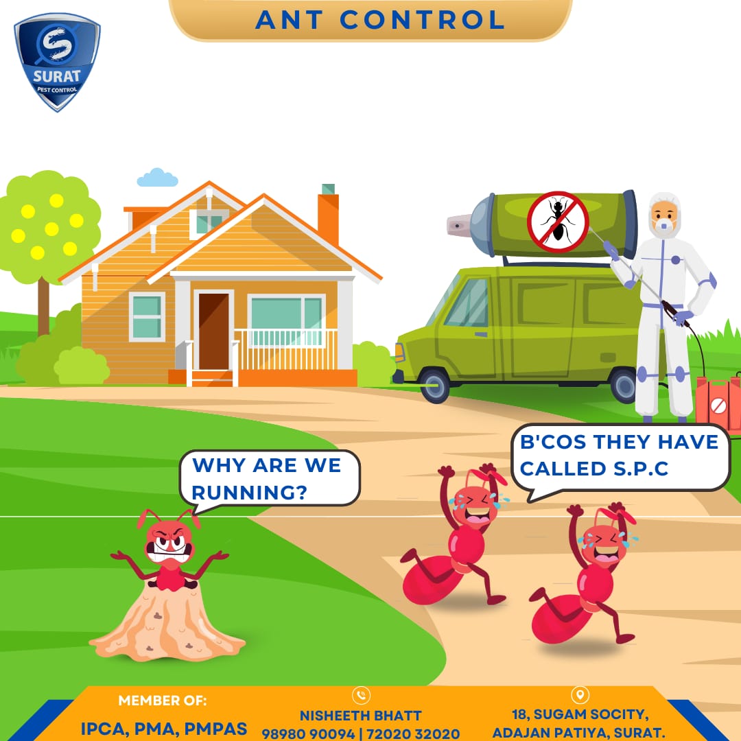 On-site Treatment of Surat Pest Control (Pest Control)