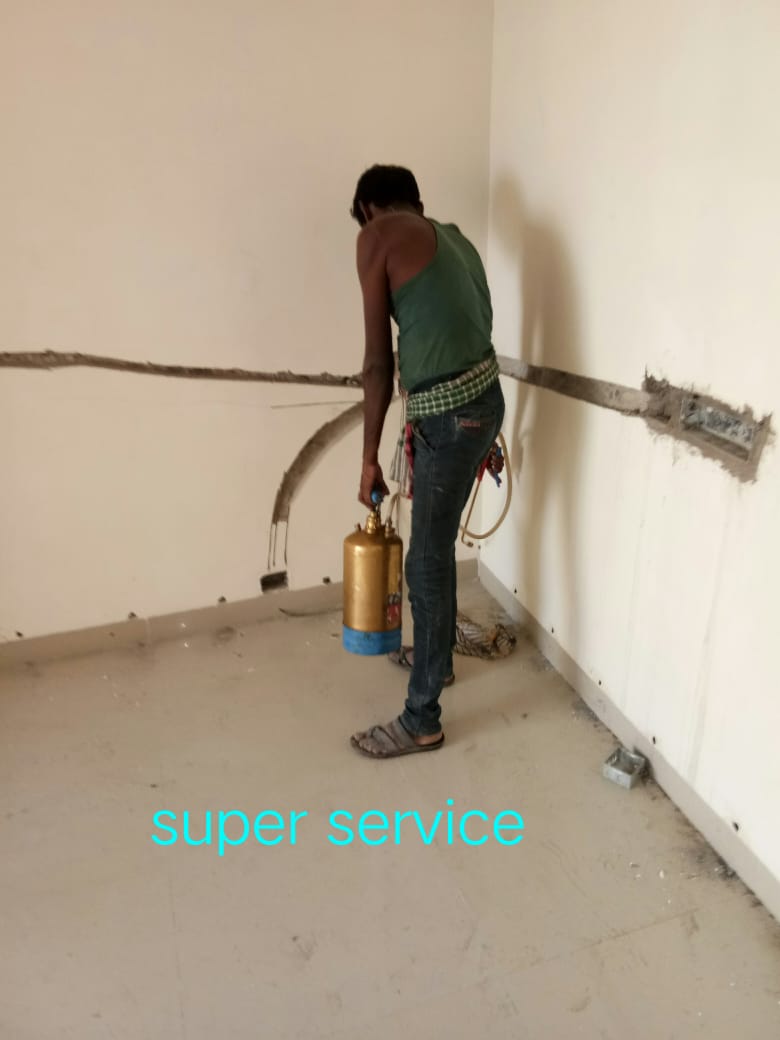 Technicians at Work of T.P. Pest Control