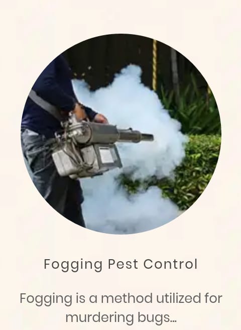Fogging Operation of T.P. Pest Control