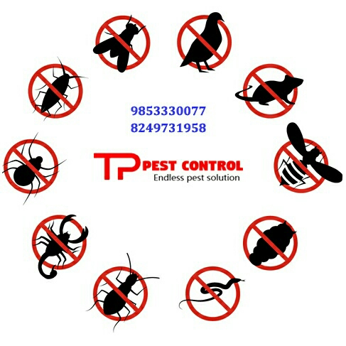 Client Testimonials of T.P. Pest Control