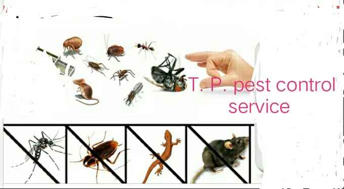 Technicians at Work of T.P. Pest Control
