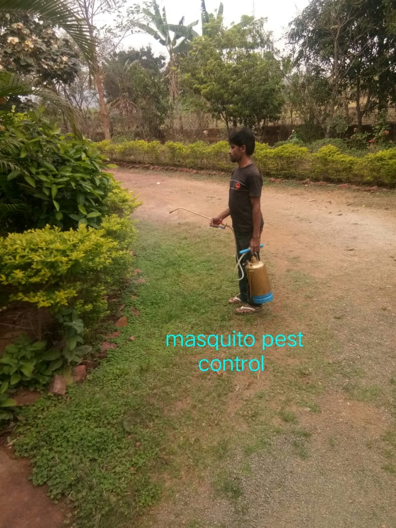 Fogging Operation of T.P. Pest Control