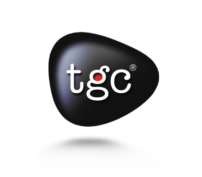 TGC Animation & Multimedia (SE)