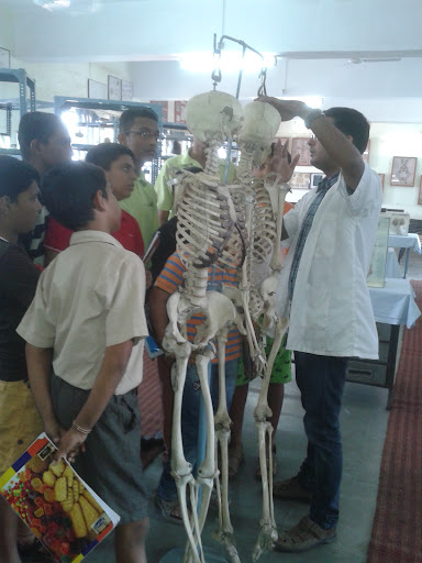 Tutor Teaching Classes of Toro Institute For Talents