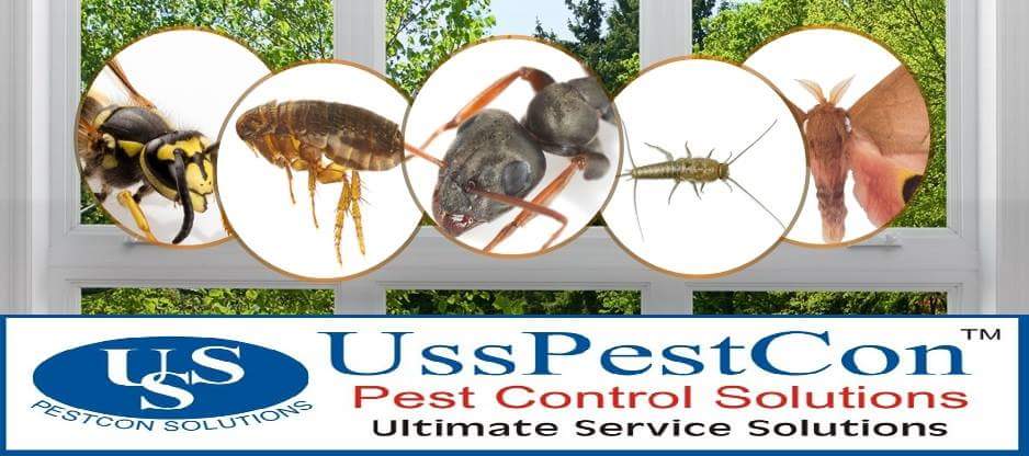 Client Testimonials of Ultimate Service Solutions