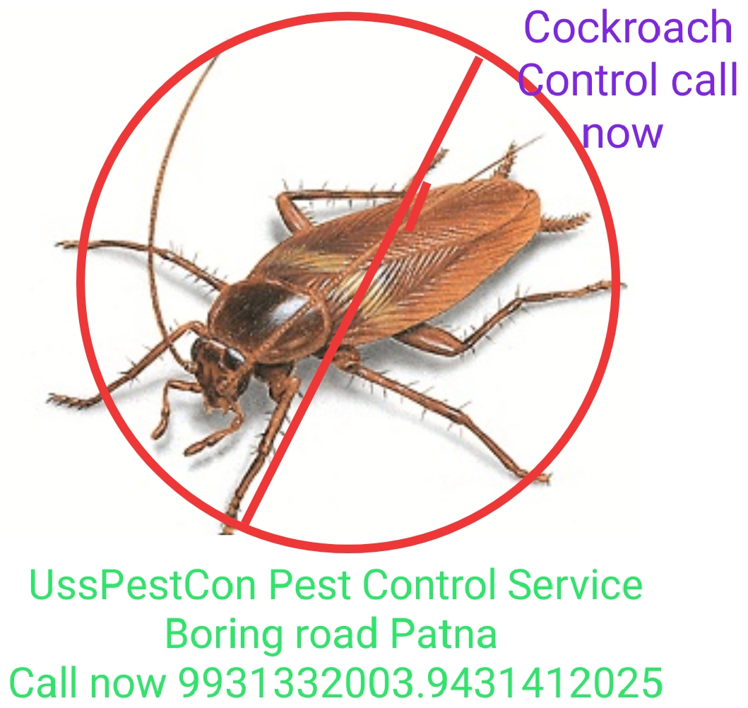 Cockroach Control of Ultimate Service Solutions