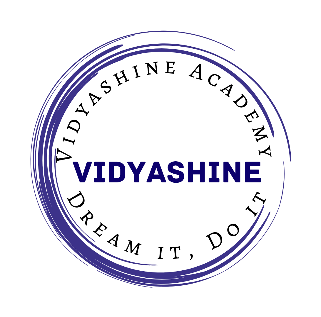 VidyaShine Academy image