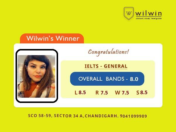 Certificate Distribution of Wilwin Education & Immigration LLP