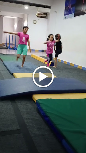 Practical Lab of Wings Fly
