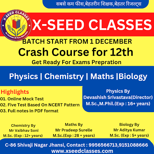 Online Classes of X-seed Classes